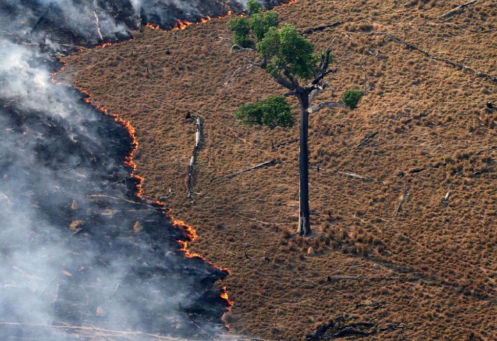 <h3><b>Nenasytné </b></h3><h3><b>agrokorporace</b></h3>